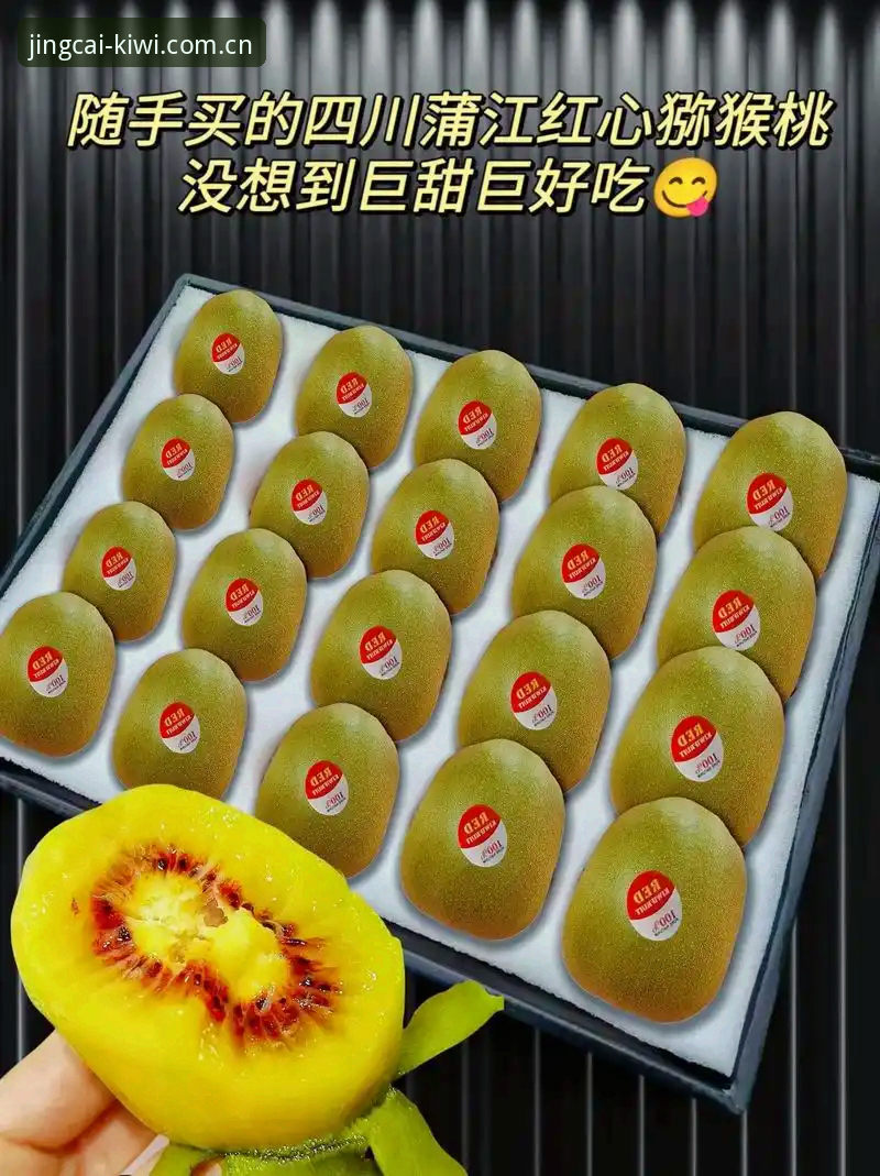 奇异果体育安卓下载 奇异果体育安卓下载指南:3大核心优势与4步操作详解